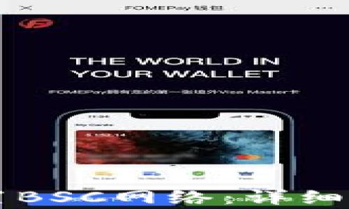 
如何在TP钱包中设置BSC网络：详细指南与常见问题解析