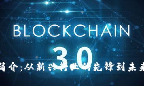 加密货币公司简介：从新兴行业的先锋到未来金融的引领者