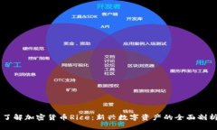 了解加密货币Rice：新兴数字资产的全面剖析