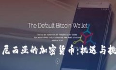 印尼西亚的加密货币：机遇与挑战