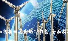 如何找回丢失的TP钱包：全面指南