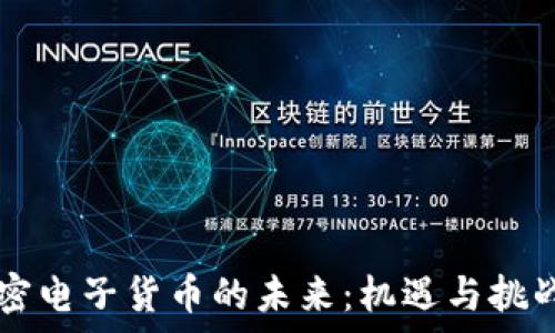   
  加密电子货币的未来：机遇与挑战分析