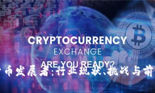 加密货币发展者：行业现状、挑战与前景展望