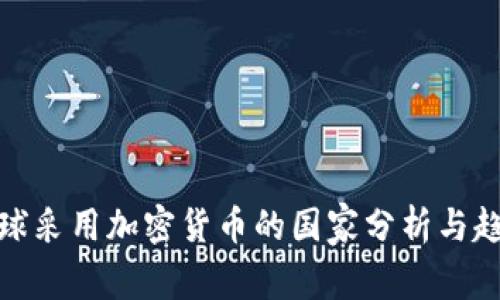 全球采用加密货币的国家分析与趋势