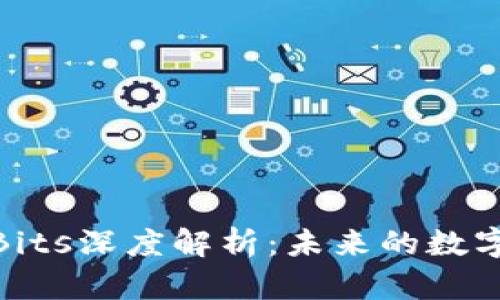 加密货币Bits深度解析：未来的数字货币选择