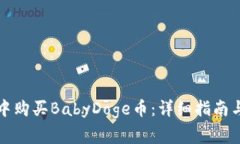 如何在TP钱包中购买BabyDoge币：详细指南与常见问