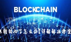  tp钱包转账转错人了怎么办？详解解决方案与预