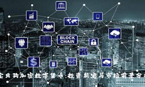 宝贝狗加密数字货币：投资新宠与市场前景分析