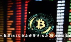 深入解析BNB公链加密货币：生态、潜力与未来发