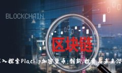 深入探索Plachip加密货币：创新、投资与未来潜力