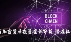 区块链与加密货币投资案例分析：潜在机会与挑