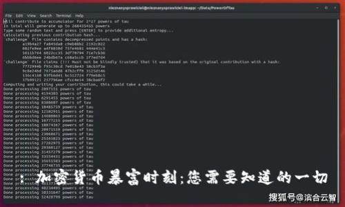 : 加密货币暴富时刻：您需要知道的一切