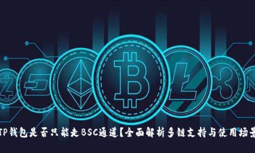 TP钱包是否只能走BSC通道？全面解析多链支持与使用场景