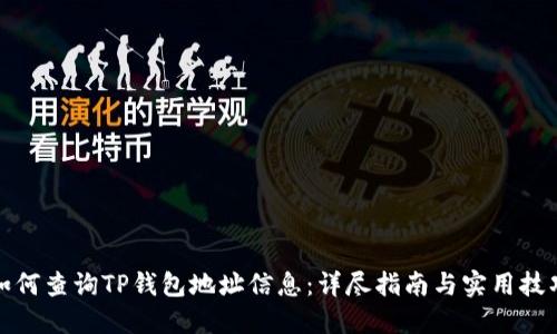 如何查询TP钱包地址信息：详尽指南与实用技巧