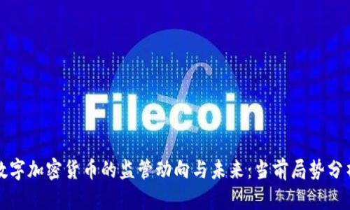 数字加密货币的监管动向与未来：当前局势分析