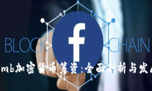 Bithumb加密货币筹资：全面剖析与发展前景