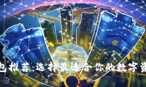 加密货币钱包推荐：选择最适合你的数字资产存储方案