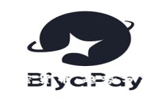 98亿美元加密货币：趋势分析与未来展望