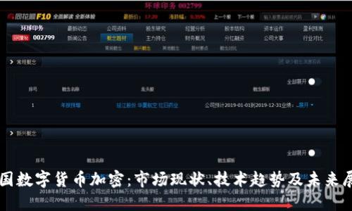 美国数字货币加密：市场现状、技术趋势及未来展望