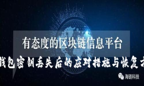 TP钱包密钥丢失后的应对措施与恢复方法
