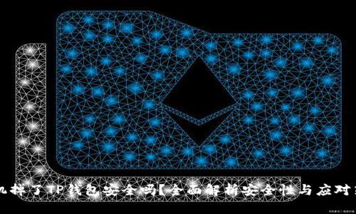 手机掉了TP钱包安全吗?全面解析安全性与应对策略