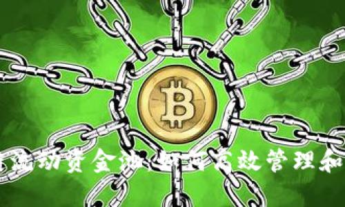新版TP钱包波场链流动资金池：如何高效管理和利用您的数字资产