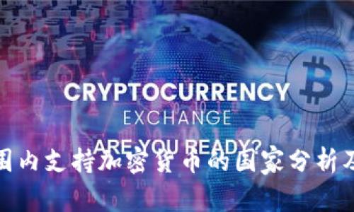 全球范围内支持加密货币的国家分析及其影响