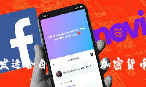 如何选择与开发适合自己需求的加密货币软件定制方案