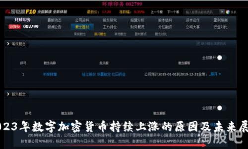 2023年数字加密货币持续上涨的原因及未来展望