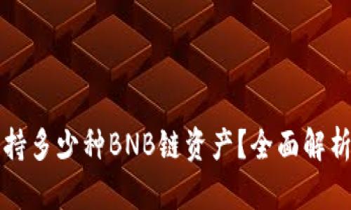 TP钱包能支持多少种BNB链资产？全面解析及使用指南