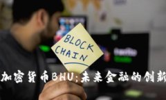 数字加密货币BHU：未来金融的创新力量