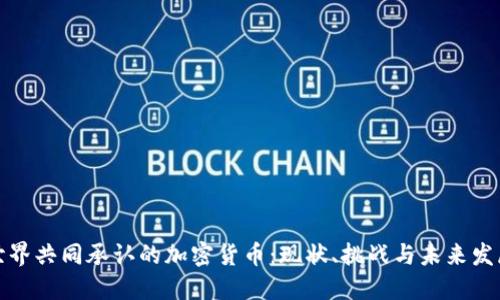 世界共同承认的加密货币：现状、挑战与未来发展