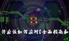 TP钱包关停后该如何应对？全面指南和解决方案