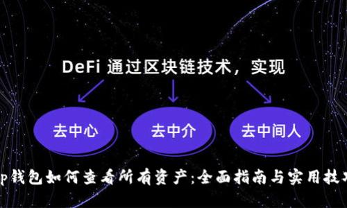 tp钱包如何查看所有资产：全面指南与实用技巧