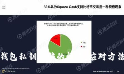 如何处理tp钱包私钥被骗的情况：应对方法与安全建议