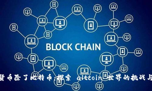 加密货币除了比特币：探索 altcoin 世界的挑战与机遇