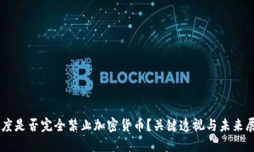 印度是否完全禁止加密货币？关键透视与未来展望