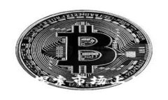 加密货币的多样性：探索市场上的主要类型及其