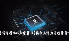 为何选择NAS加密货币？揭示其潜力与投资价值