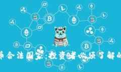 全球加密货币合法国家：投资者必须了解的选择