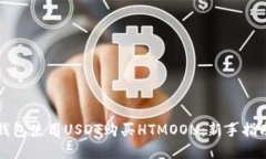 如何通过TP钱包使用USDT购买HTMOON：新手指南与最