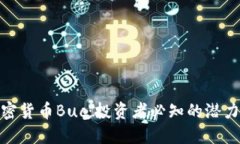 揭秘加密货币Buc：投资者必知的潜力与机遇