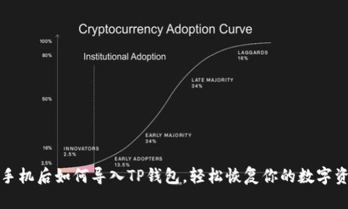 换手机后如何导入TP钱包，轻松恢复你的数字资产