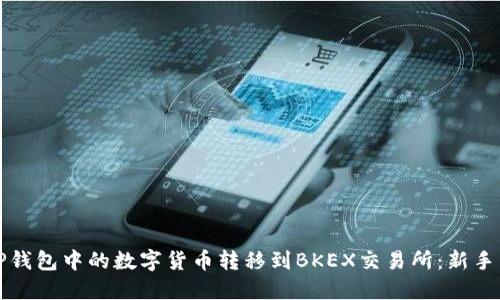 如何将TP钱包中的数字货币转移到BKEX交易所：新手详细指南
