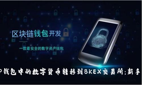 如何将TP钱包中的数字货币转移到BKEX交易所：新手详细指南