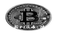 如何在TP钱包中购买PIG币：简单步骤与实用技巧