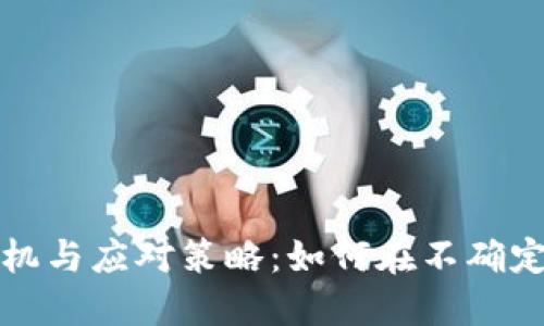 投资加密货币的危机与应对策略：如何在不确定的市场中保护资产