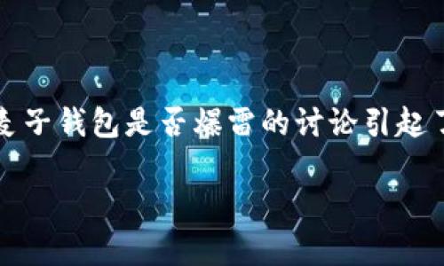 在加密货币盛行的背景下，数字钱包的安全性与稳定性成为了广大用户关注的焦点。近期，关于TP钱包和麦子钱包是否爆雷的讨论引起了广泛的关注。本文将对这两个数字钱包进行深入分析，并提供用户在使用它们时可能面临的风险和价值。

TP钱包与麦子钱包的安全性分析：你是否会选择信任？