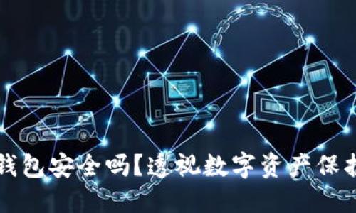 币圈TP钱包安全吗？透视数字资产保护的关键