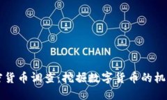 南非加密货币调查：挖掘数字货币的机遇与挑战